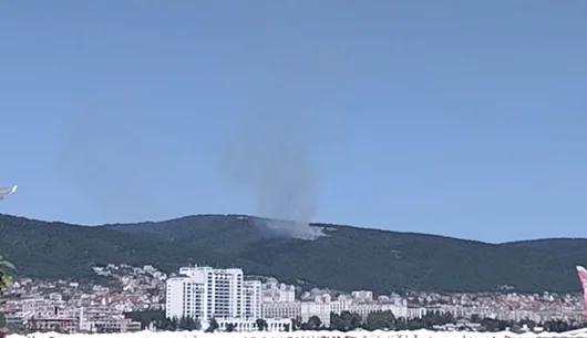 Пламна пожар в гората над Свети Влас