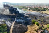 FireScope AI на INSAIT вече прогнозира риска от горски пожари и на български език