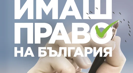 "Имаш право на България": Как българи в чужбина направиха невиждана кампания за изборите