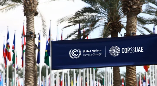 Всичко, което трябва да знаем за COP28 в Дубай