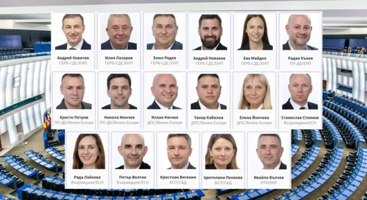 Българските евродепутати и кой с какво ще се занимава в Европарламента
