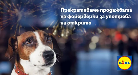 Lidl спира продажбата на фойерверки за употреба на открито