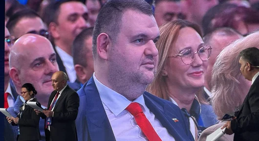 Европейското семейство на ДПС иска изключване на групата на Делян Пеевски в ЕП