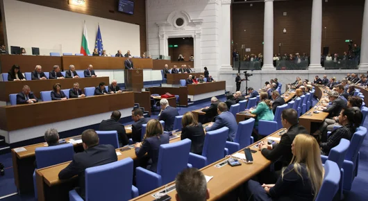 Парламентът се обяви против изпращането на военни в Украйна и не осъди руската агресия
