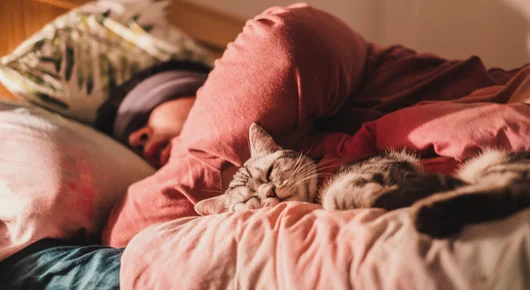 The power of power nap или силата на следобедния сън