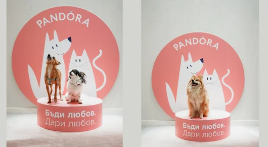 Pandora & Pet Sisters събраха над 2000 лв. за бездомните животни с благотворително събитие 