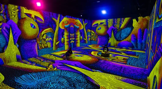 VIDENIE - пространство за 3D мапинг и имерсивни преживявания отваря врати на 15 септември
