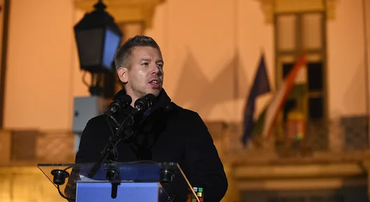 Радан Кънев: Промяната в Унгария е реална, Петер Мадяр няма връзка с "новото дясно" на MAGA