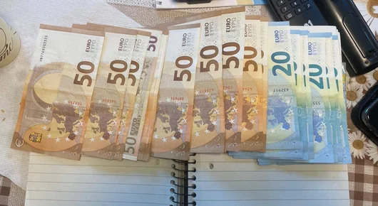 МВР съобщи за открити 113 образци на бюлетини при полицейски акции в Плевенско