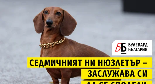 Voiceletter: Загубата, която се преобръща в победа, Епизод 11