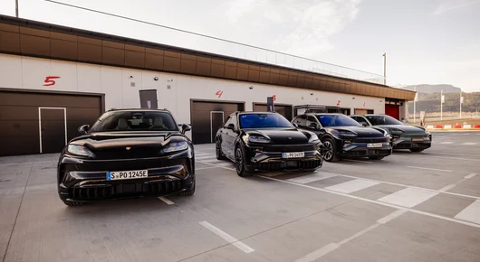 Cayenne Turbo Electric - на върха на хранителната верига