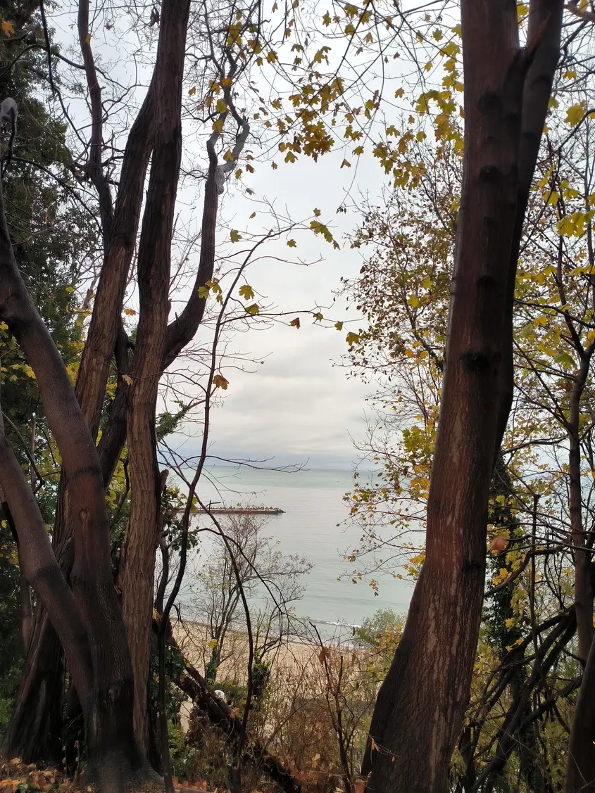 Варна Морската