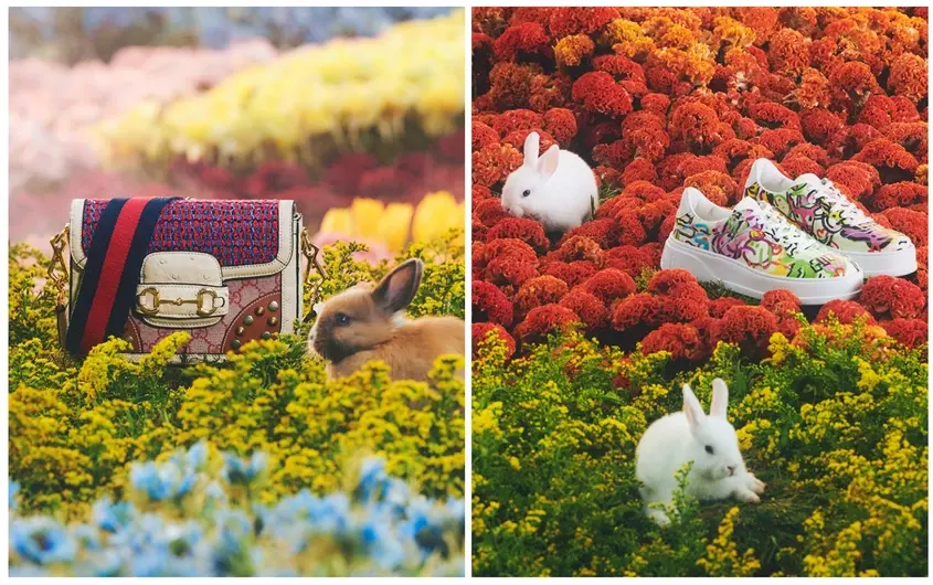 Лунна нова година, Китайска нова година, Годината на заека, модна колекция Gucci, зайци, защита на животните,