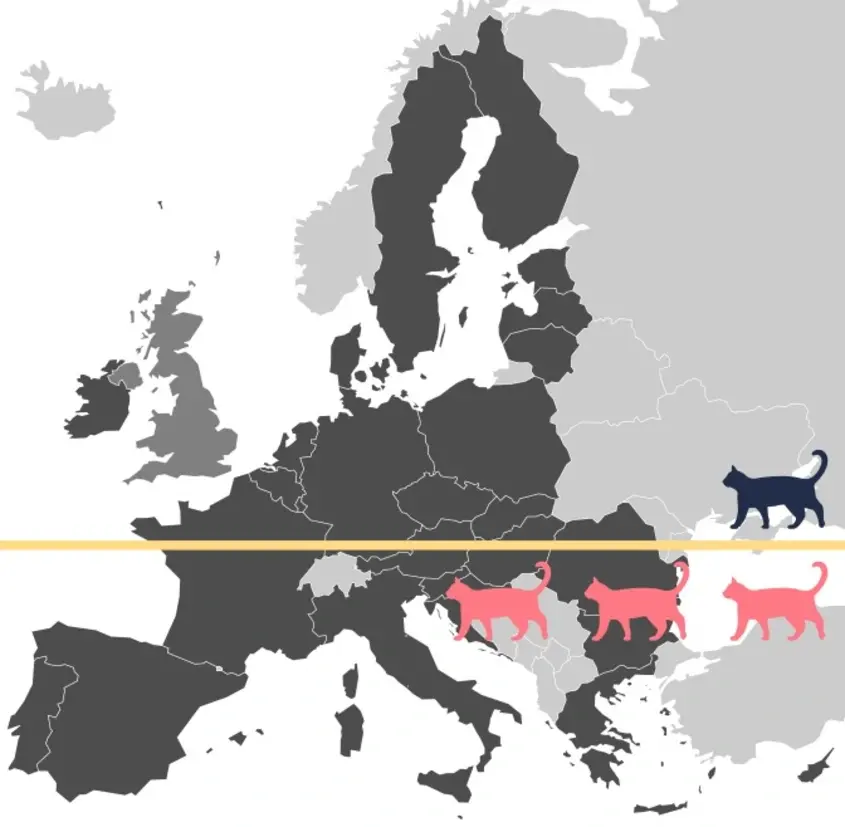 purrs.bg карта на Европа на осиновените котки