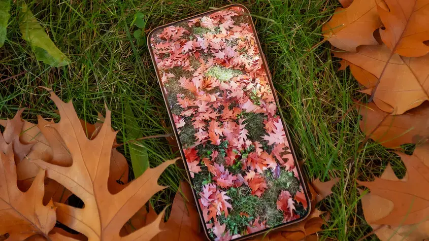 Xiaomi 15T Pro