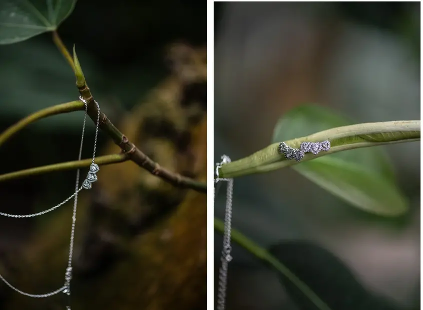Collage Pandora